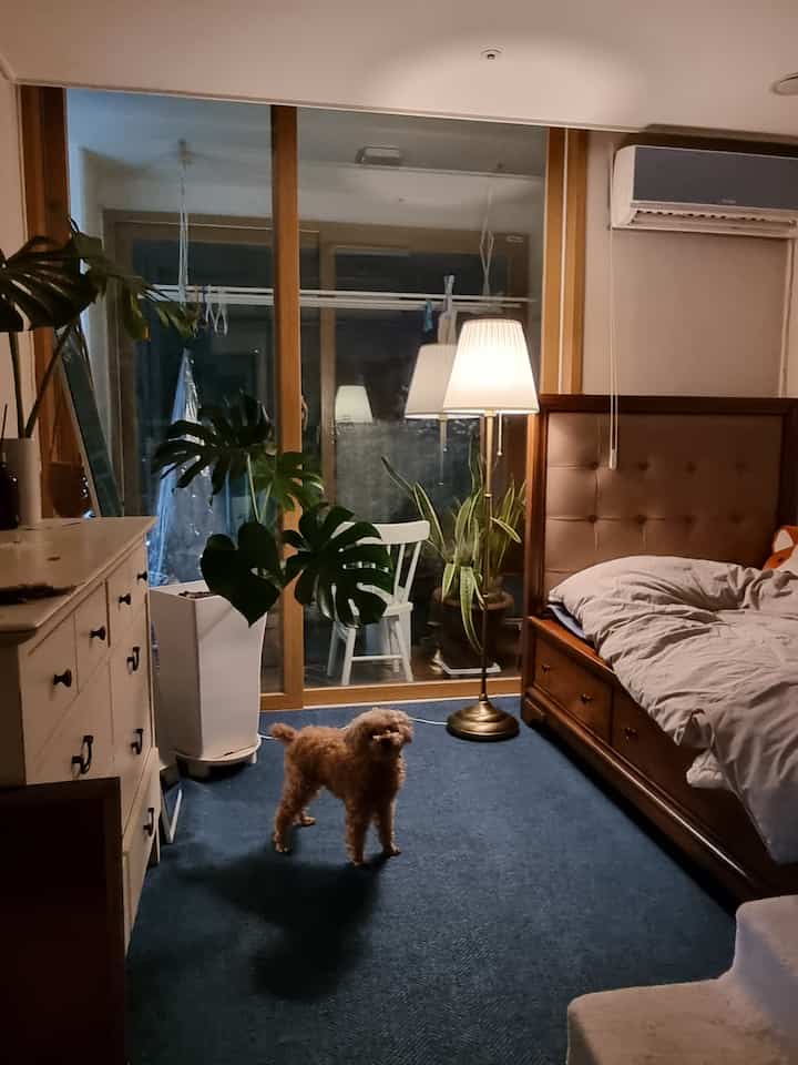A cozy natural bedroom with wood tones and blue carpet, featuring bed, floor lamp, and plants