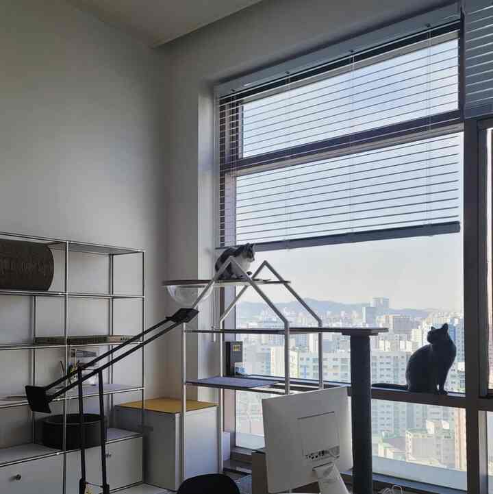 ホワイトトーンのリビングにブラインドとキャットタワー、それに窓辺に2匹の猫がいるモダンで清潔感のあるインテリア