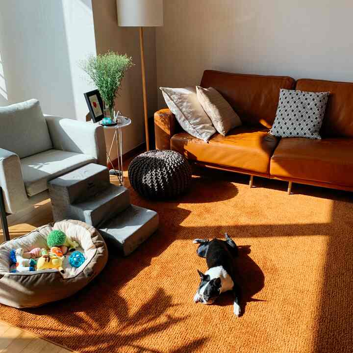 Natural-toned living room with warm orange rug, brown leather sofa, beige armchair and pet bed creating a cozy atmosphere