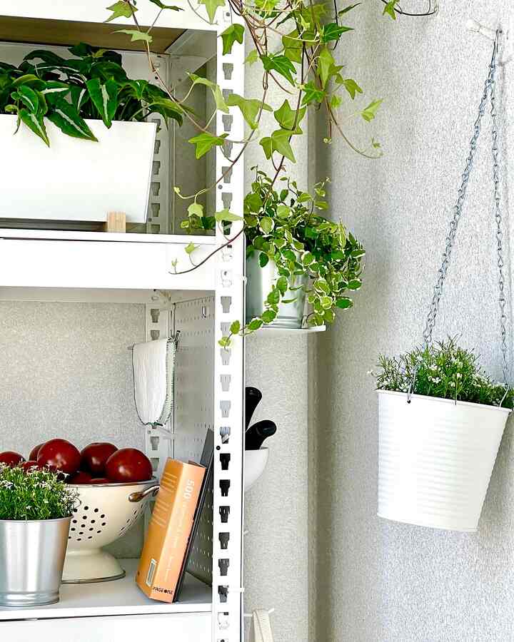 White-toned veranda space featuring shelves and pegboard with plants and kitchen items in a natural atmosphere