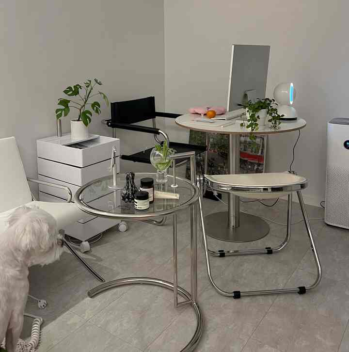 ホワイトとグレーのトーンを基調としたモダンな狭いホームオフィス、観葉植物と犬が配置された快適な作業空間