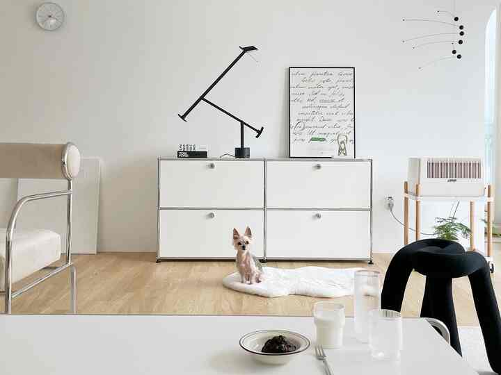 白と木目調のリビングルーム、シンプルでミッドセンチュリーモダンな家具と小型犬がいる雰囲気のあるインテリア