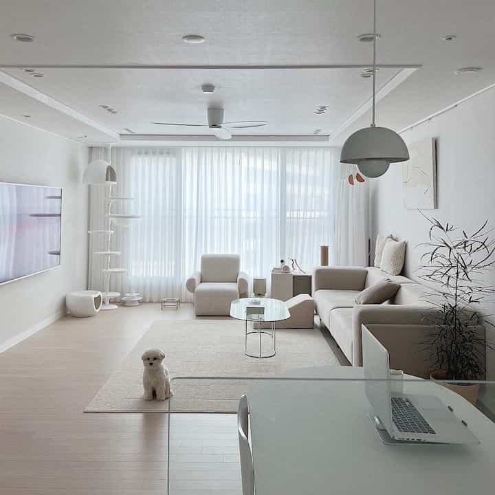 White and beige toned living room featuring a sofa and armchair in a simple modern style with a cozy atmosphere