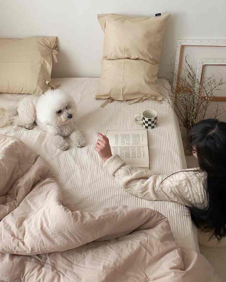 Beige and white toned bedroom featuring bedding, a small white dog, and a person lying naturally on the bed