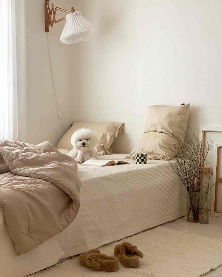 Beige bedding and white walls in a bedroom featuring a small dog sitting centrally on the bed in a cozy setting