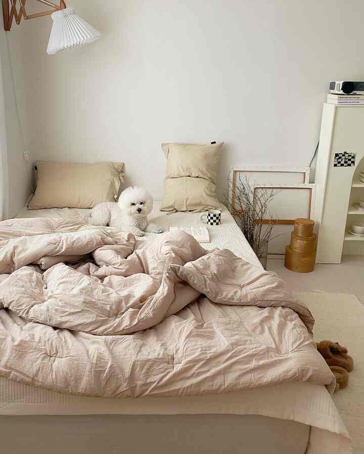 ホワイトとベージュの色調の寝室、枕と布団が置かれたベッドの上に小さな犬が座っているシンプルでナチュラルな雰囲気のインテリア