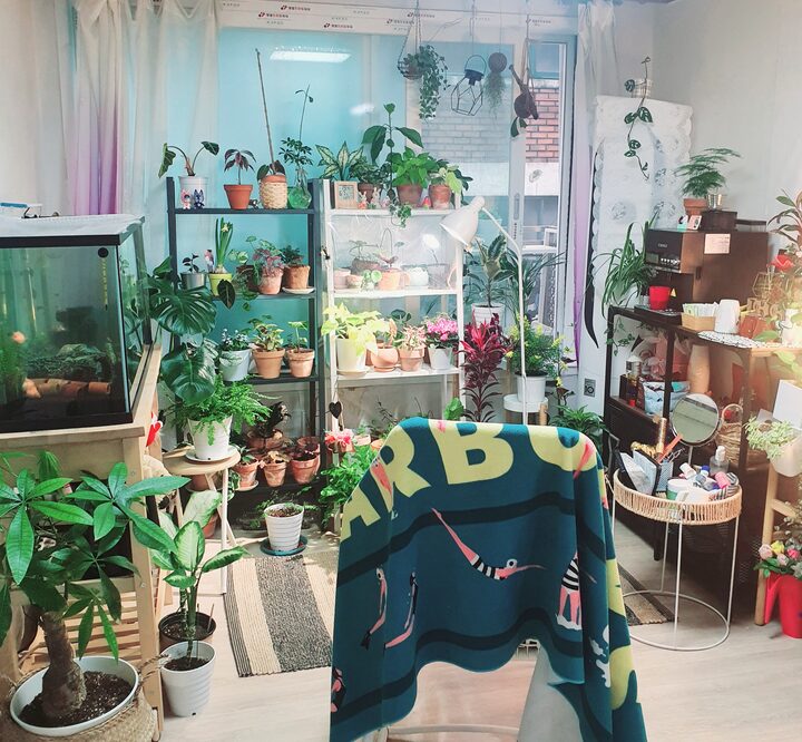 short form carousel card thumbnail