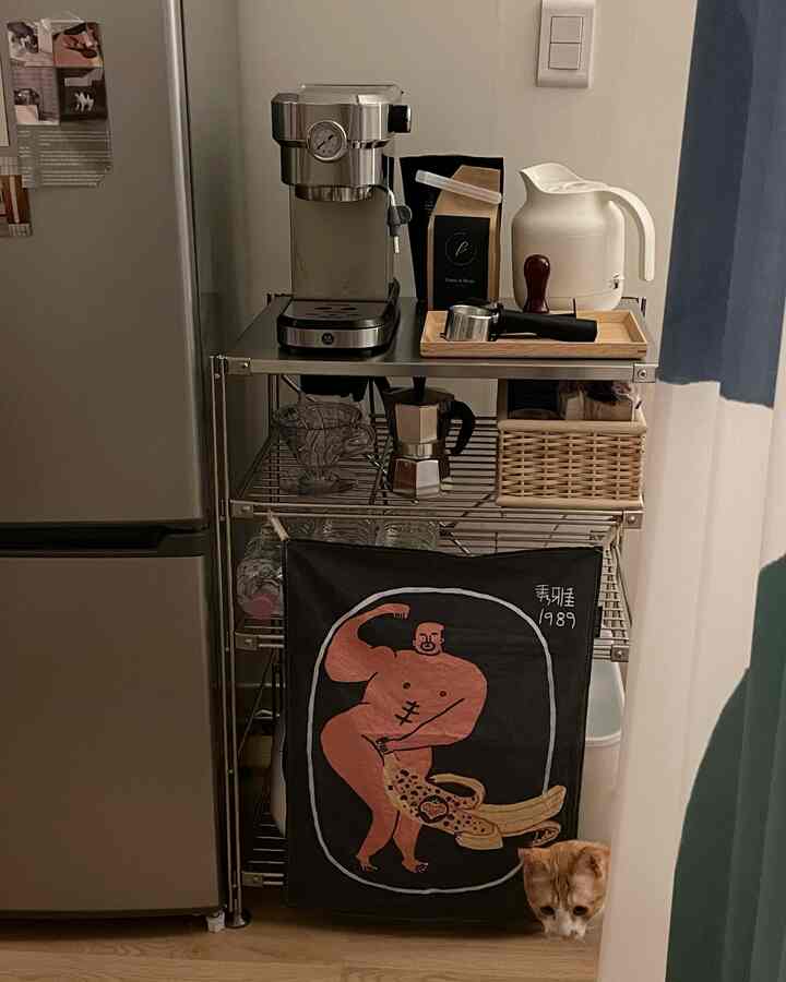 A compact kitchen coffee zone for a single household featuring stainless steel unit shelves with a coffee machine, moka pot, electric kettle, light blue and white curtains, and a cat