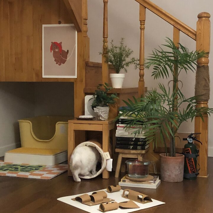 short form carousel card thumbnail