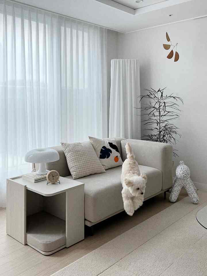 Bright natural-toned living room featuring beige sofa, white curtains, and a playful dog in a cozy atmosphere
