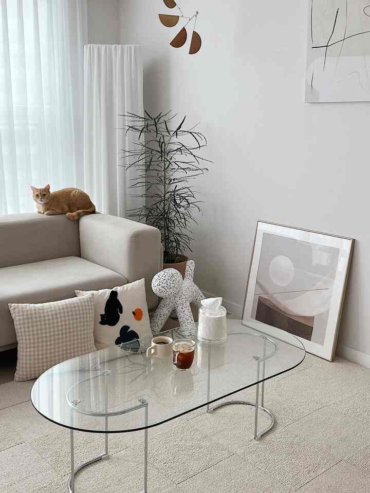 White-toned living room featuring beige sofa and transparent glass coffee table, with a cat and cushions creating a cozy atmosphere