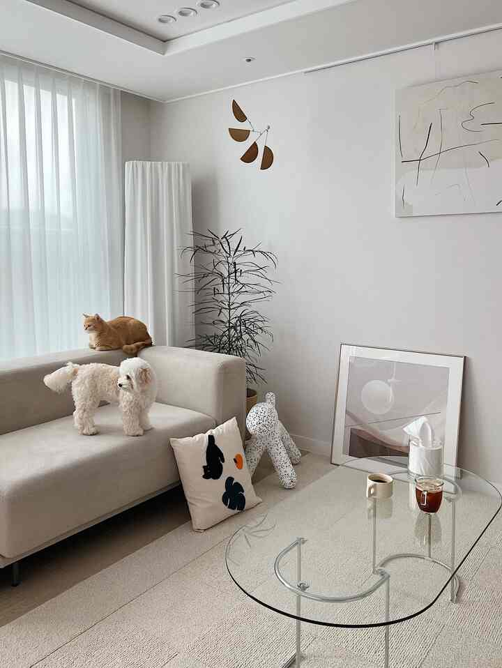 White and beige toned living room featuring a beige sofa, transparent glass coffee table, and a dog and cat adding cozy atmosphere