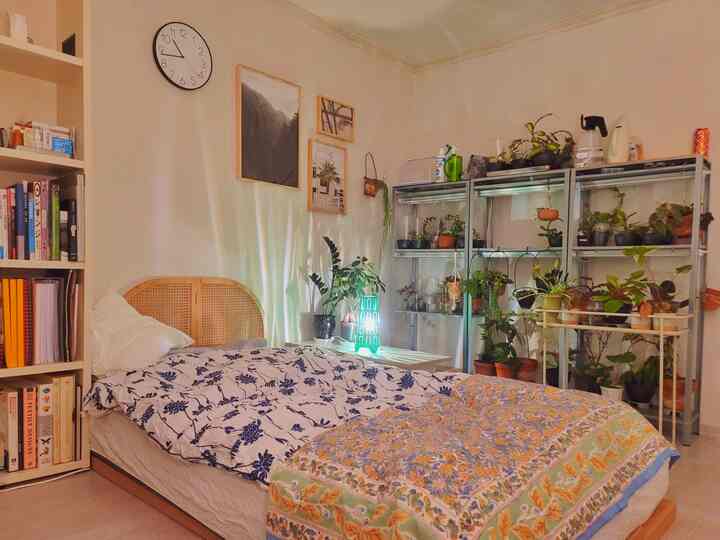 Natural-tone bedroom space featuring bed, plants, and bookshelf with cozy vintage atmosphere
