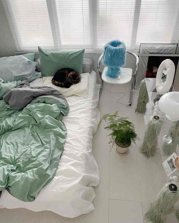 ホワイトとグリーンの色調の寝室、ベッドに猫がいる寝具とモダンな椅子、棚が配置された雰囲気のあるインテリア