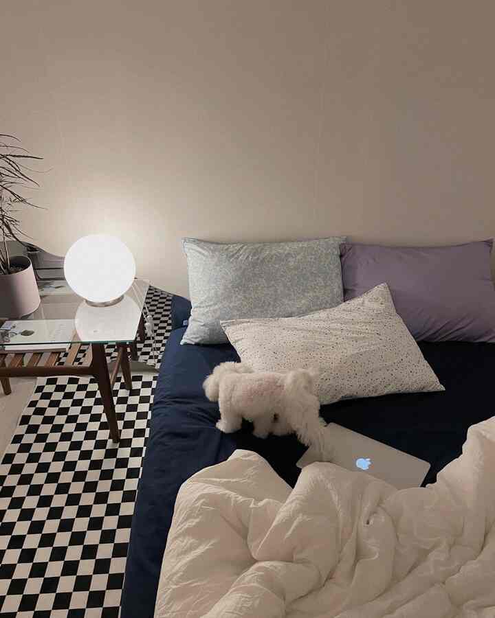 Calm blue and lavender toned bedroom featuring various pillows and allergy-care mattress cover creating a cozy space