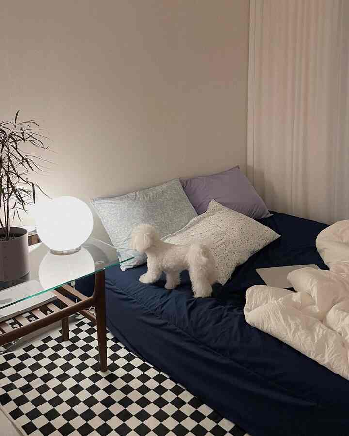 A cozy bedroom with white and navy tones, featuring a navy bed with pillows and a checkered rug
