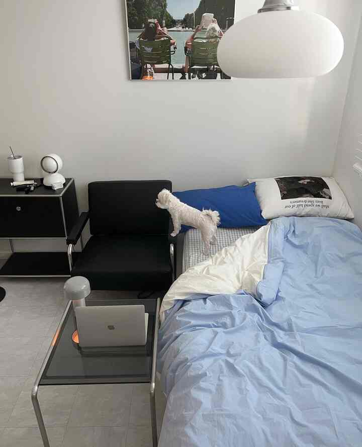 白と黒と青のトーンの寝室、ベッドの上に犬が立っており、モダンで清潔感のある家具が配置された雰囲気のあるインテリア