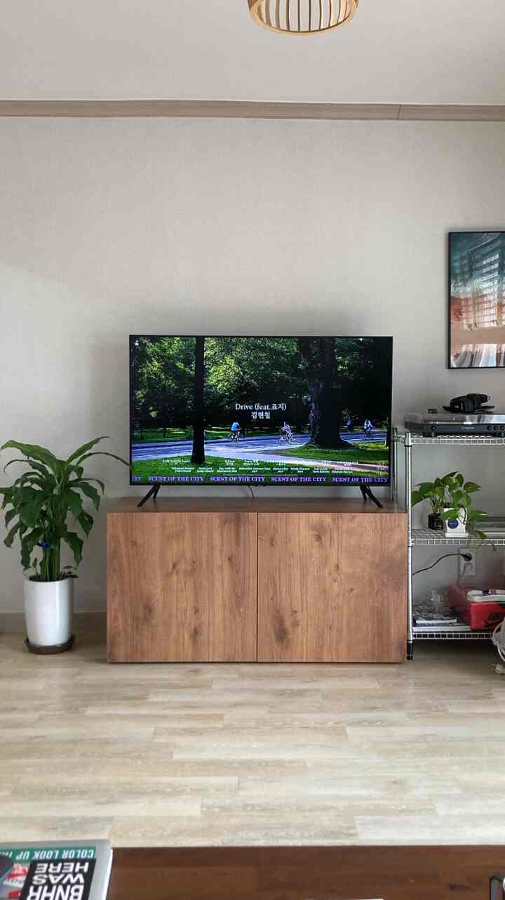 もともとテレビ用ではありませんが、収納スペースが必要で購入しましたが、落ち着いた木材の材質が植木鉢とよく似合います🌿🪵