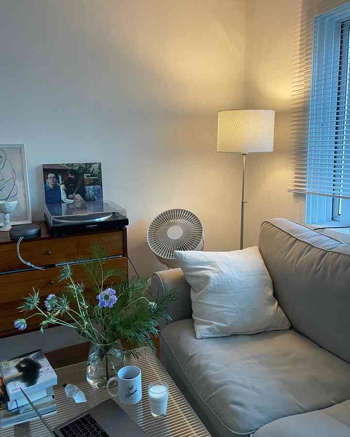 Beige and white toned living room featuring a sofa, console table, floor lamp, blinds on the window, and plants creating a natural ambiance