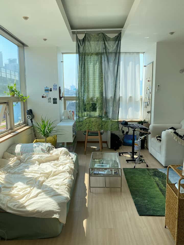 Natural toned studio apartment bedroom featuring bed, sofa, and a green rug with a cozy and bright atmosphere