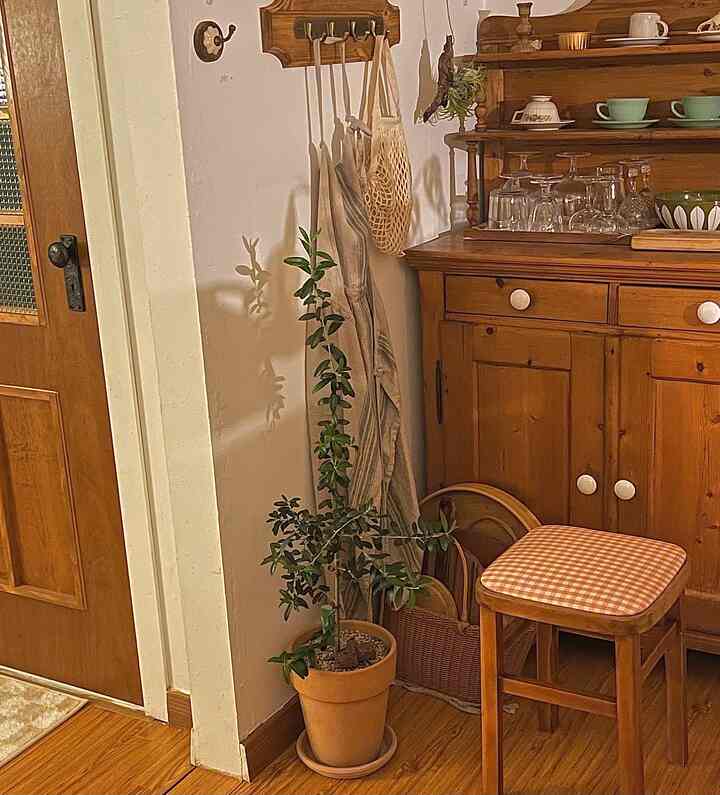 Natural color and wood tone kitchen corner featuring an olive tree plant in terracotta pot and wooden storage cabinet creating a cozy atmosphere