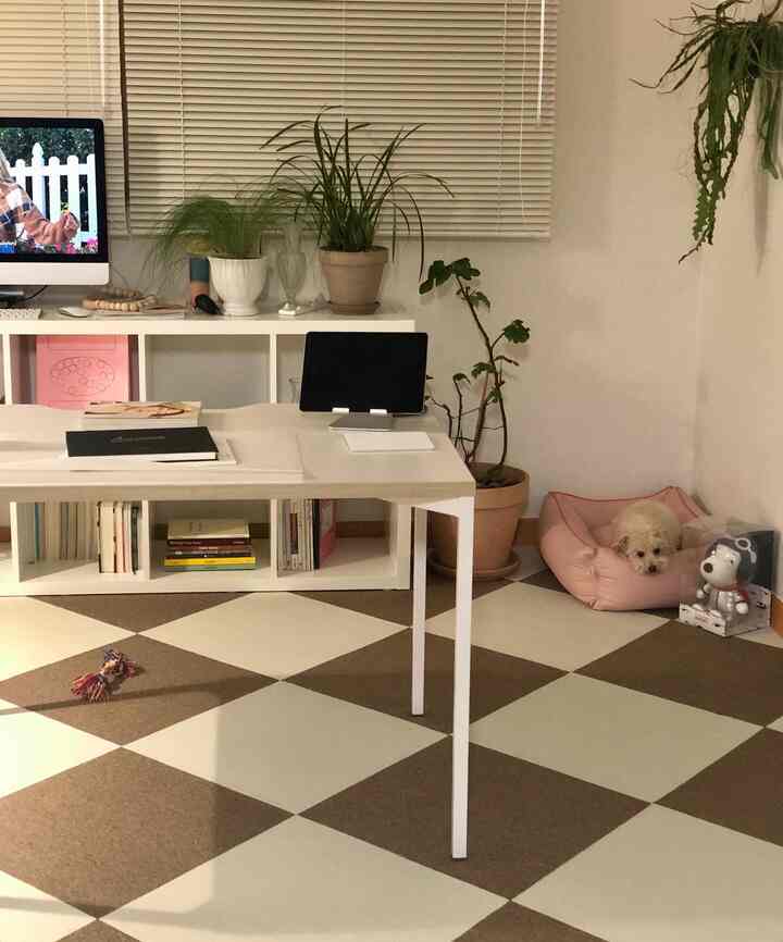 White and brown tone home office space featuring a desk, plants, and a dog bed with a cozy atmosphere