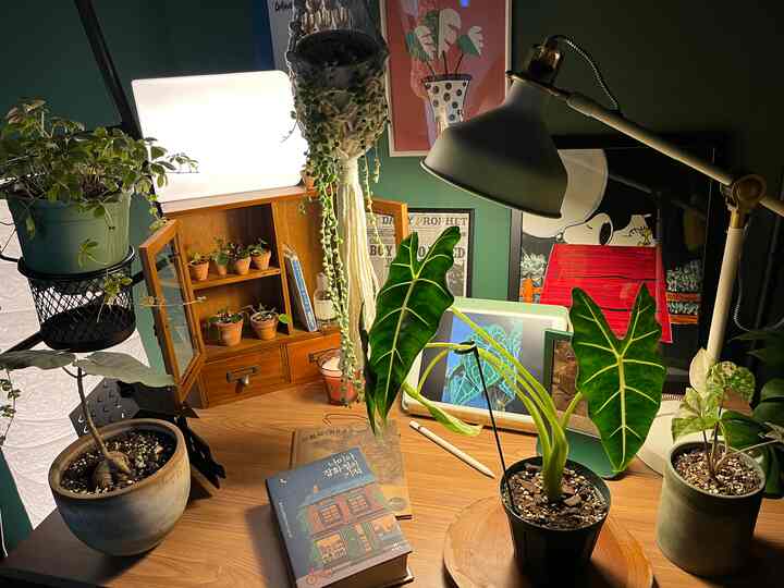 A small studio home office desk space featuring natural tones and green plants