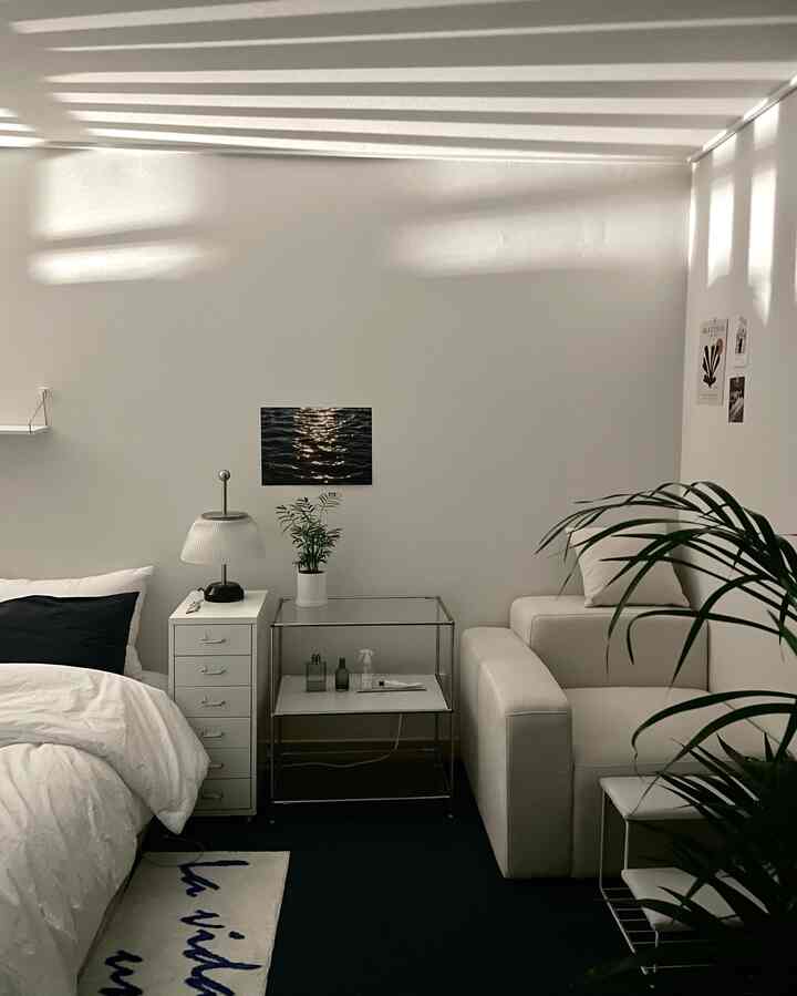 Bright white-toned bedroom with sofa, shelves, plants illuminated by natural light