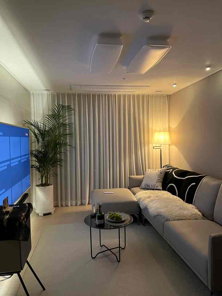 Natural modern toned living room for two featuring gray sofa and areca palm creating cozy atmosphere