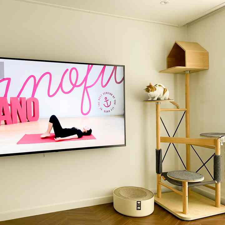 A modern natural living room with white walls and wood-toned furniture, featuring a cat tower and a wall-mounted TV