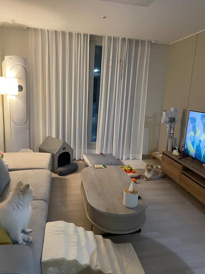 明るいグレーと木目調のリビング、広いソファとペットベッド、犬用おもちゃが配置された雰囲気のあるペットと暮らす空間