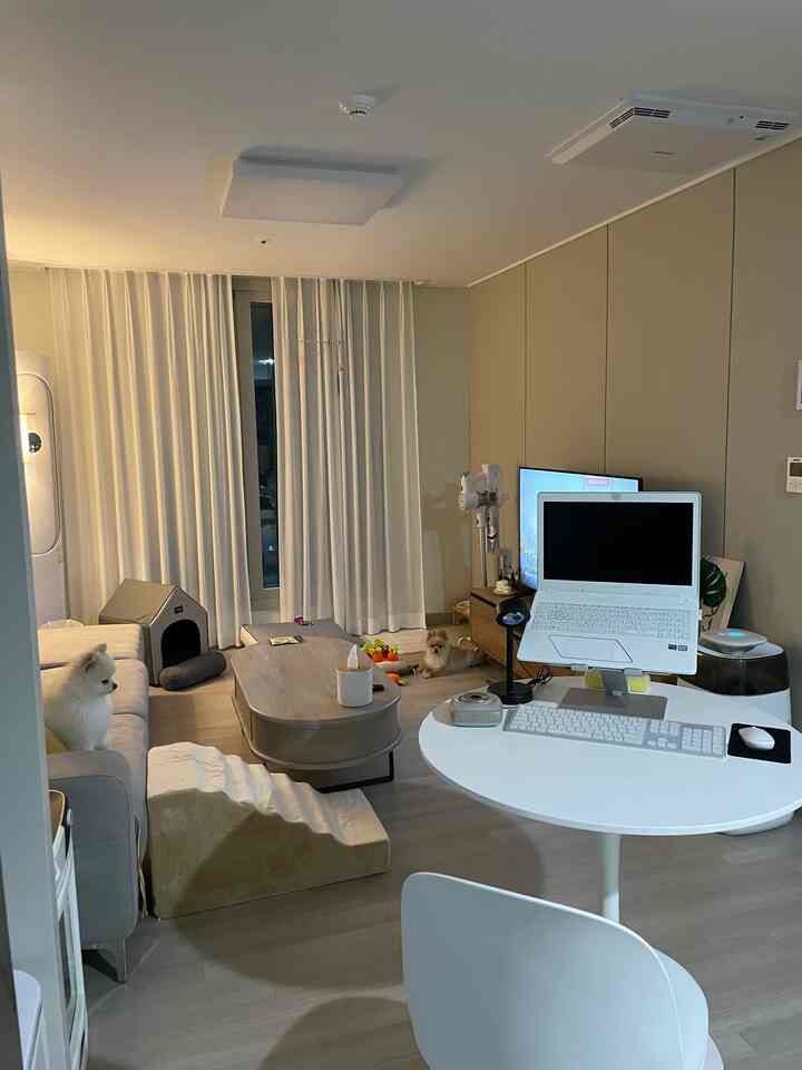 白とベージュの色調のリビングルーム、ソファとコーヒーテーブル、犬とホームオフィスが調和した居心地の良い空間
