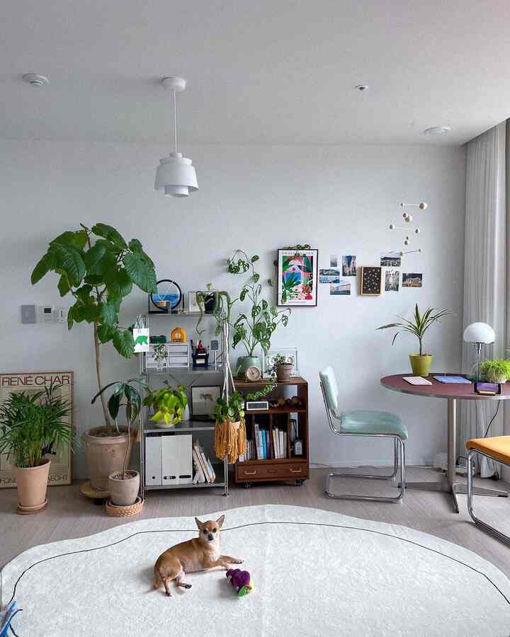 White and natural-toned living room featuring various plants, a round table, and a dog in a cozy home office setting