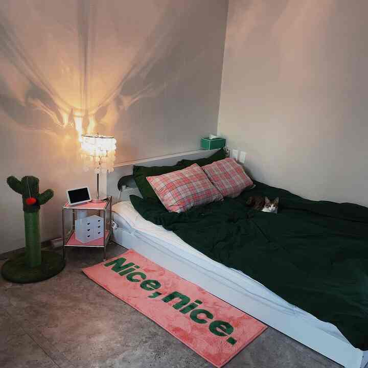 ホワイトとグリーンのトーンの寝室、低めのベッドと猫用スクラッチャーがある雰囲気のあるインテリア