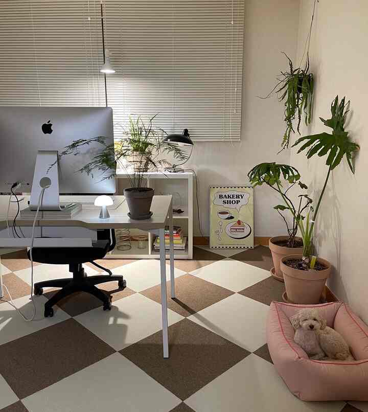 A white and brown toned home office featuring a desk, office chair, plants, and a cozy dog bed