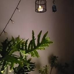 새장속 조명