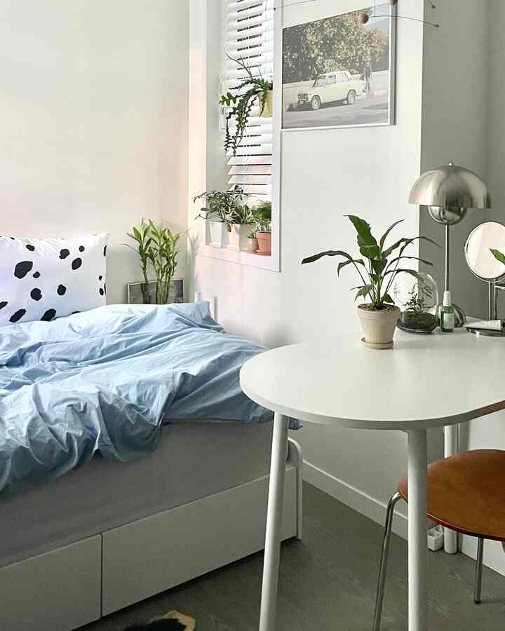 White-walled studio bedroom with blue duvet cover and plants arranged in a simple natural space