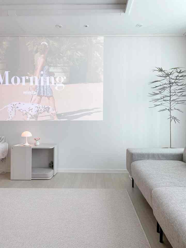 White and gray toned living room with projected screen, gray sofa, rug, and a plant creating a modern atmosphere