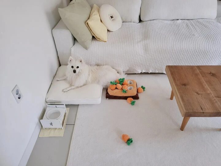 short form carousel card thumbnail