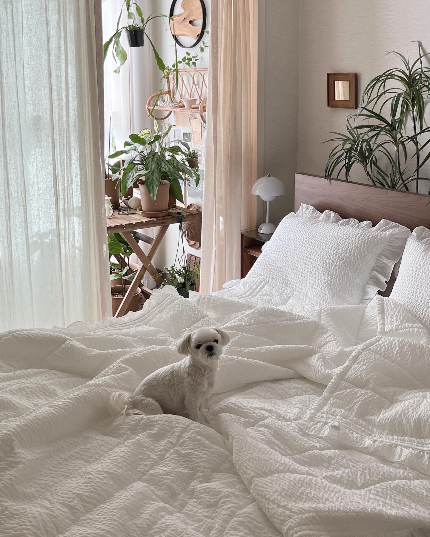 Pop Frill Seersucker Summer Comforter & Pillowcase Set user photo