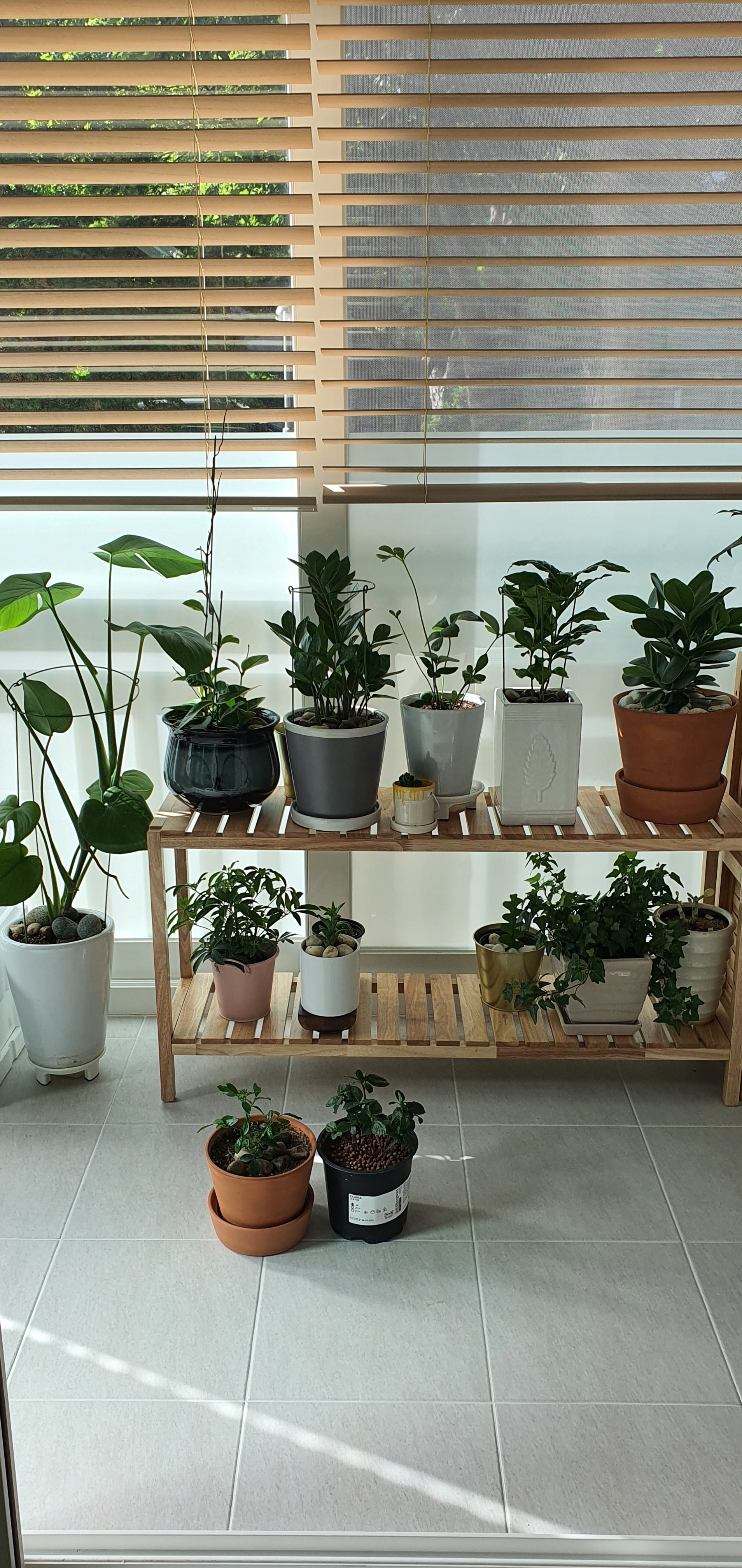 Solid Wood Plant Stand user photo
