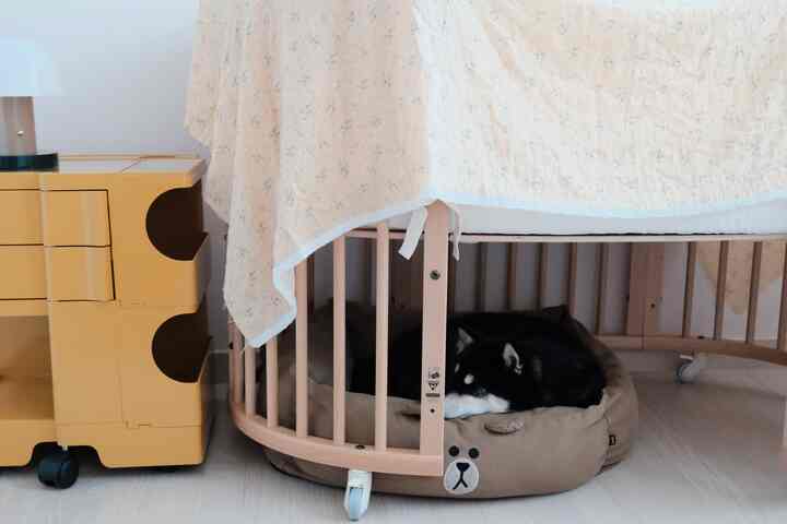 Natural color toned bedroom featuring a crib with a dog bed placed underneath, creating a cozy atmosphere