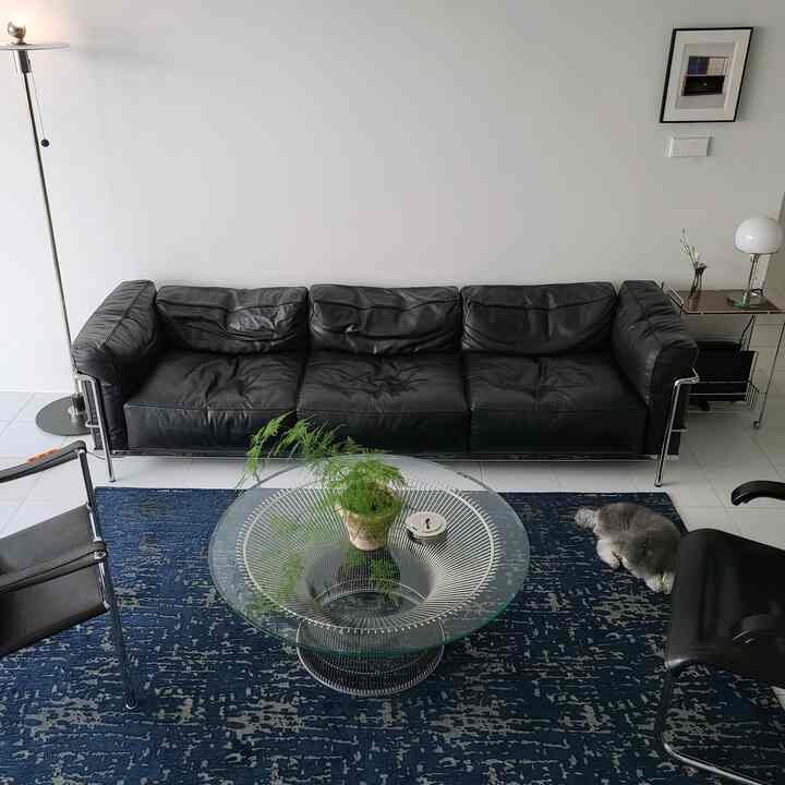 White and black toned living room featuring a black leather sofa, glass coffee table, and patterned rug creating a modern atmosphere