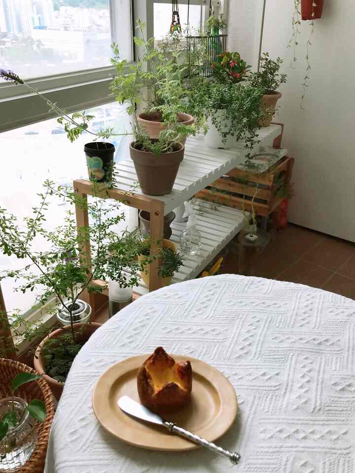 White and natural-toned veranda featuring plant-filled shelves and a table with a textured tablecloth topped with a dessert, creating a cozy atmosphere