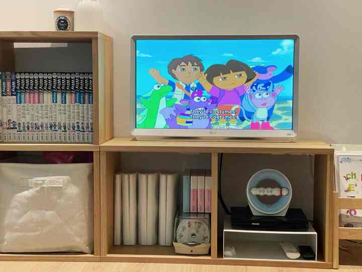 Natural tone living room with bookshelf and TV stand showcasing a TV playing kids' English DVDs
