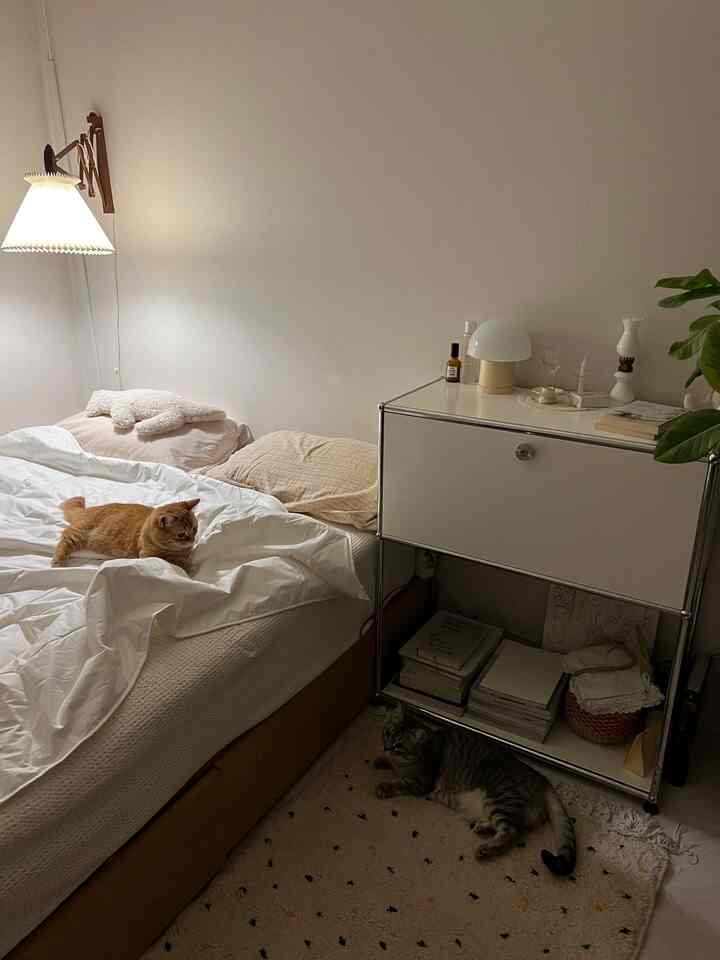 White and brown toned bedroom featuring two cats and a minimalist storage cabinet creating a cozy atmosphere.
