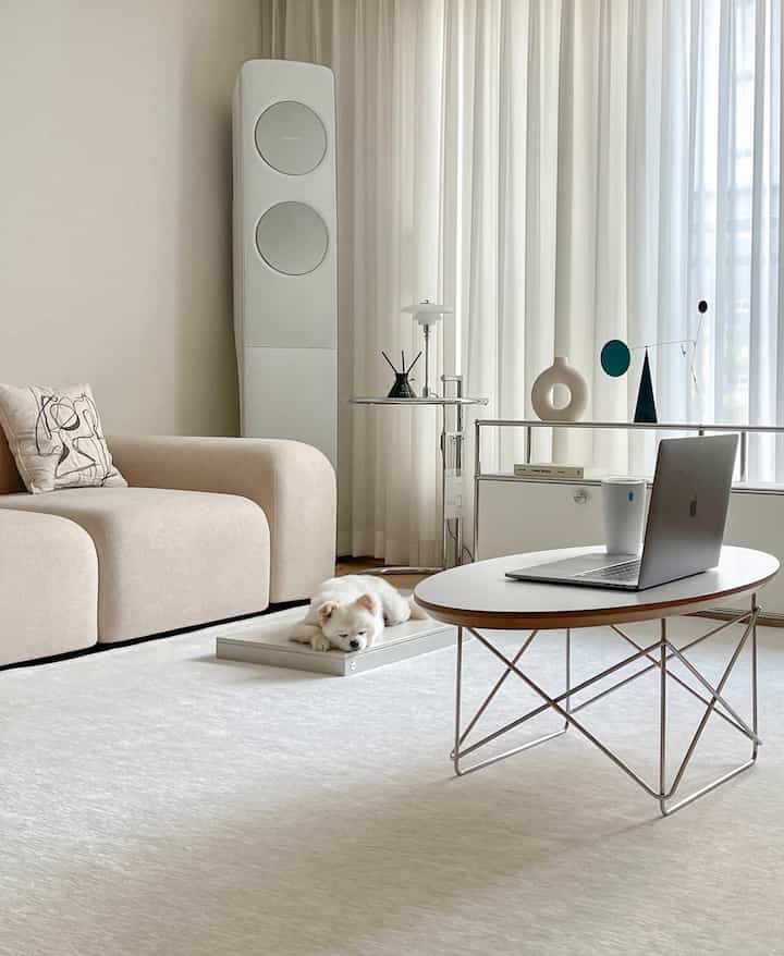 Natural color and white-toned living room featuring beige sofa, rug, and a dog peacefully resting