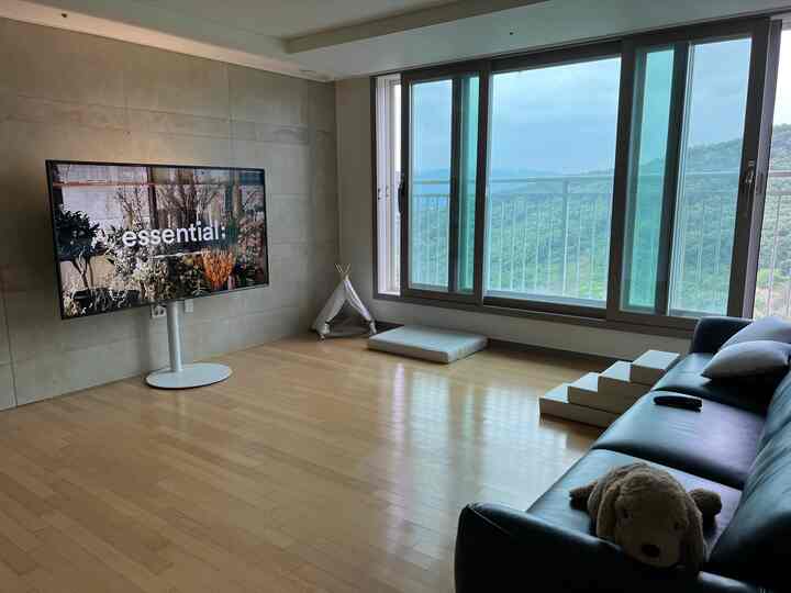 ナチュラルで白を基調としたリビング、ブラックレザーのソファ、テレビ台、ペット用品が配置された清潔感のある空間