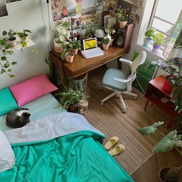 향기 나는 이불 보신적 있으세요? 은은한 바닐라 향이 솔솔 풍겨 기분 좋은 인틴트의 펑키이불세트로 교체 했어요🍌 
원단과 솜사이에 바람이 잘 통해 고온다습에도 쾌적하고, 은나노 항균제로 깨끗하게, 그리고 양면사용이 가능해서 더 좋더라고요. 
펑키이불이란 이름에 맞게 비비드한 컬러도 예쁘고요~ 모모에게도 바로 컨펌 받았습니다😆😺
🔖 인틴트 펑키이불 피클Q
🔖 인틴트 펑키이불패드 젤리Q
🔖 인틴트 펑키베게커버 피클, 튤립

