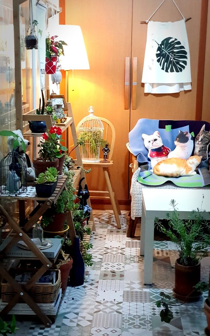 short form carousel card thumbnail